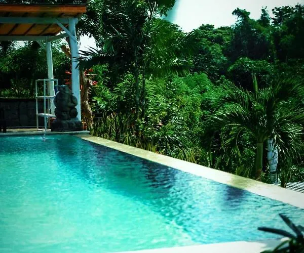 Eco Moringa Garden 2*