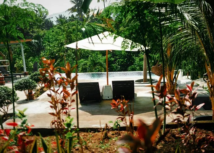 Eco Moringa Garden